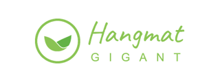 Logo HangmatGigant.nl